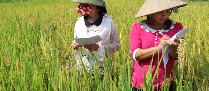 Phụ nữ luôn thể hiện tinh thần kiên cường, sáng tạo trong công việc, góp phần thay đổi nhận thức của cộng đồng về vai trò của họ trong nông nghiệp. Ảnh: CCAFS/CGIAR. 