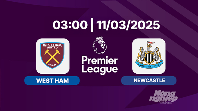 Trực tiếp bóng đá West Ham vs Newcastle 03h00 hôm nay 11/3/2025