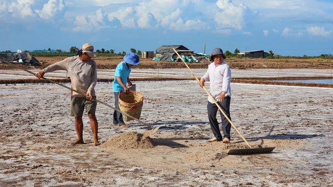 Diêm dân tất bật vào vụ thu hoạch muối. Ảnh: Kim Anh.