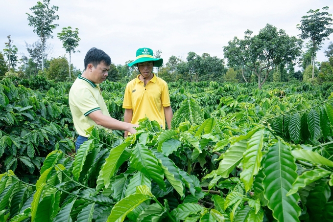 Phân Bón Cà Mau mang đến lễ hội cà phê Buôn Ma Thuột 2025 các bộ sản phẩm, giải pháp dinh dưỡng tiên tiến giúp nâng cao hiệu quả canh tác nông nghiệp.