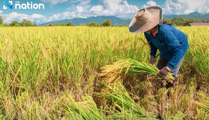 Pichai reaffirmed the government’s commitment to ensuring farmers have sustainable long-term incomes through improved product development and export expansion, rather than relying solely on short-term financial aid.