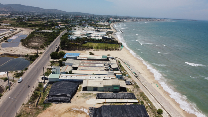 The shrimp hatchery area in Ninh Hai district, Ninh Thuan province. Photo: KS.