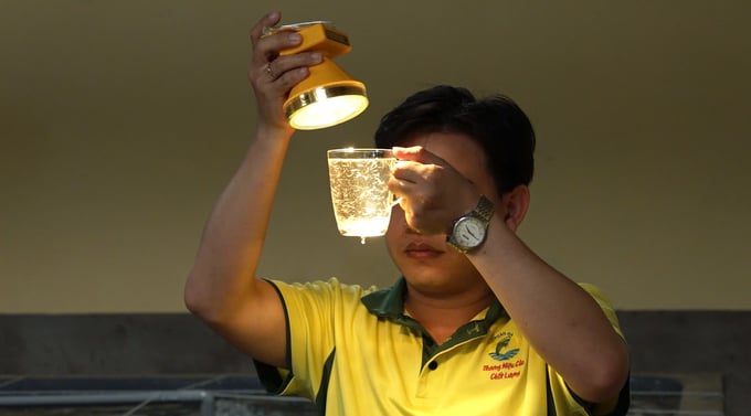 Each year, Ninh Thuan province supplies the market with 38-42 billion shrimp post larvae, accounting for over 30% of the country's total shrimp seed production. Photo: KS.
