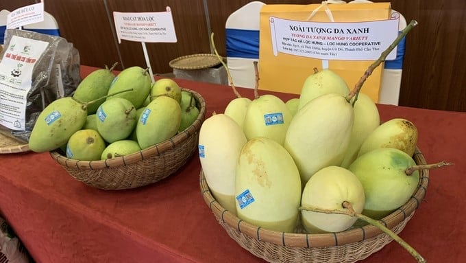 Mango products are applied with sustainable farming techniques. Photo: Ho Thao.