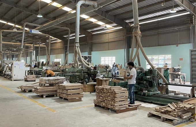 Many wood enterprises in Binh Dinh upgraded the infrastructure and equipment to meet partners' standards. Photo: V.D.T.