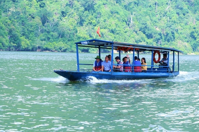 Ba Bể là hồ nước ngọt có tính đa dạng sinh học cao, dưới lòng hồ có nhiều loài cá quý. Ảnh: Ngọc Tú.