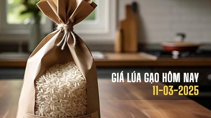 Cập nhật giá lúa gạo mới nhất hôm nay 11/3/2025