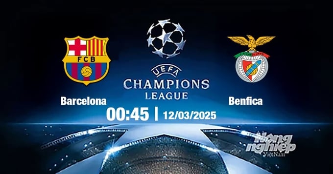 Trực tiếp bóng đá Barcelona vs Benfica, Cúp C1 Châu Âu, 00h45 ngày 12/3/2025