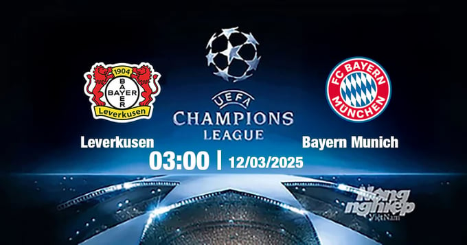 Trực tiếp bóng đá Leverkusen vs Bayern, Cúp C1 Châu Âu, 03h00 ngày 12/3/2025