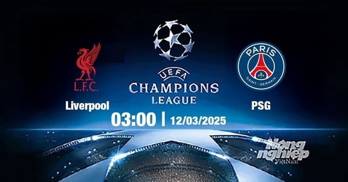 Trực tiếp bóng đá Liverpool vs PSG, Cúp C1 Châu Âu, 03h00 ngày 12/3/2025