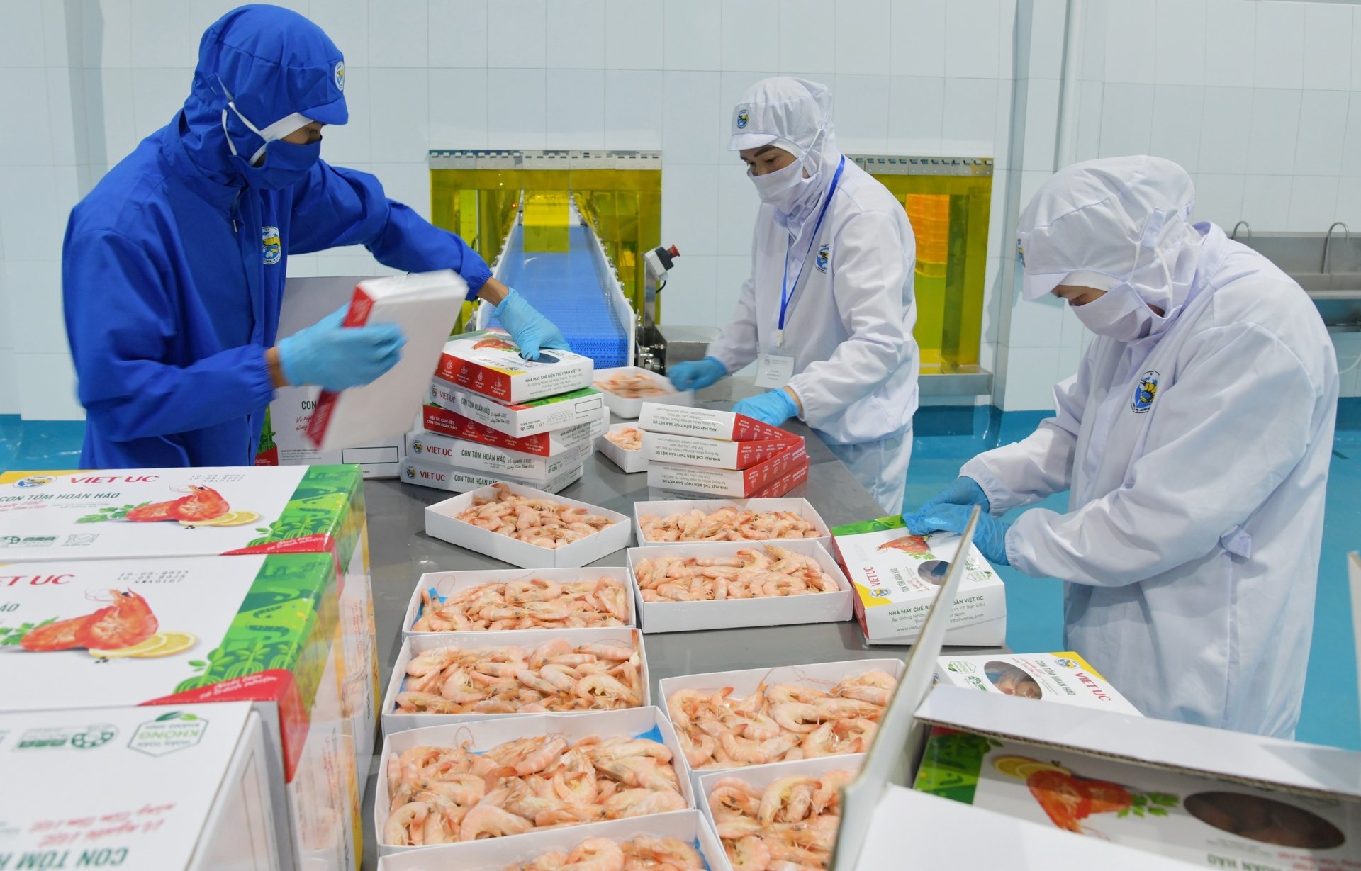 Vietnam has exported seafood to nearly 170 markets, including large markets with strict standards. Photo: Hong Tham.