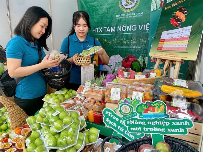 Green agriculture and green environment are being implemented by many cooperatives and enterprises for sustainable development in the future. Photo: Nguyen Thuy.