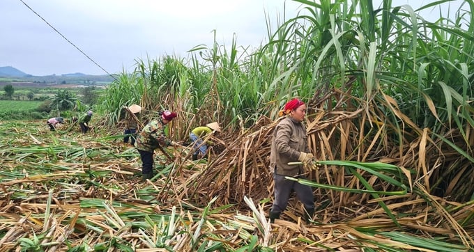 Điều này dẫn đến tâm lý hoang mang của số đông người lao động. Ảnh: Việt Khánh.