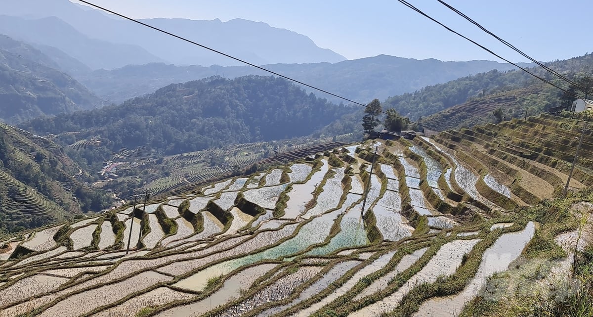 Nhiều cánh đồng ruộng bậc thang ở Thèn Chu Phìn đã được bắt nước về để chuẩn bị cho vụ gieo cấy trong năm. Ảnh: Đào Thanh.