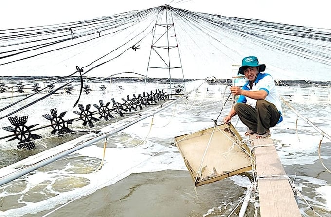 Mr. Nguyen Minh Nhu, from Bao Thanh Commune, Ba Tri District, Ben Tre Province, has 18 hectares of high-tech shrimp farming. Photo: Minh Dam.