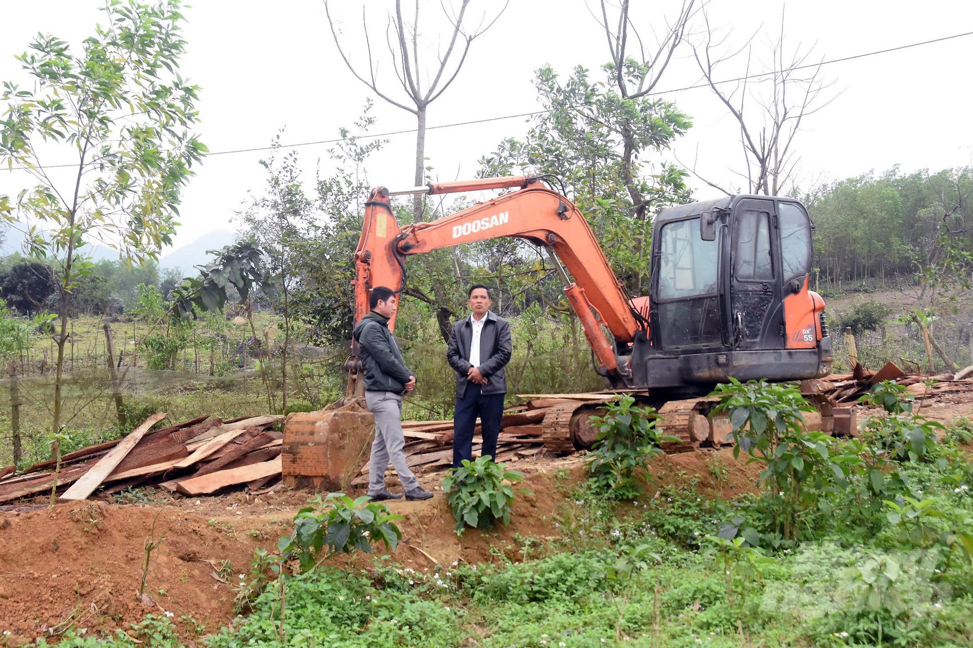 Ông Ánh tiếp tục mở rộng quy mô khu chăn nuôi để đưa giống heo Vân Pa đến được nhiều hơn với khách hàng trong và ngoài tỉnh. Ảnh: Võ Dũng.