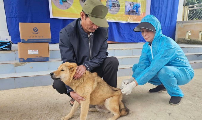 Local authorities and veterinary agencies have put great efforts into supporting people during rabies vaccination campaigns in 2025. Photo: T. Phung.