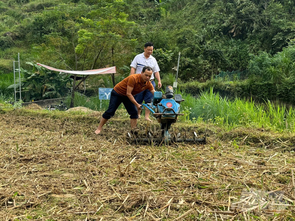 Những chiếc máy cày đầu tiên đã được đưa lên ruộng bậc thang để bà con sử dụng. Ảnh: Tiến Thành.