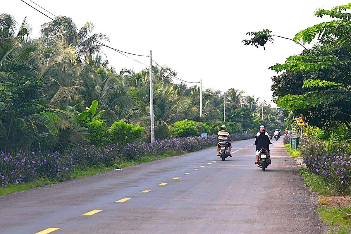 Diện mạo nông thôn của Tân Phú Đông ngày càng khởi sắc. Ảnh: Minh Đảm.