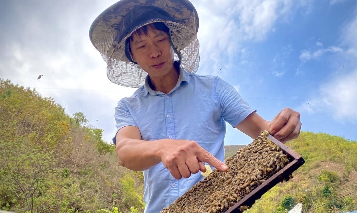 Anh Đoàn Đình Khính, Giám đốc Công ty TNHH Mật ong Vân Hồ, tỉnh Sơn La. Ảnh: Đức Bình.