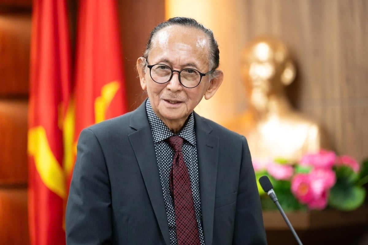 Dr. Dang Trung Phuoc, Chairman of the World Biodiversity Conservation Association, said that it is possible to plant bamboo instead of acacia. Photo: Pham Thang.