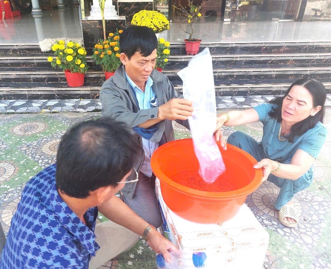 Farmers in Kien Giang will need about 17 billion shrimp seeds for farming in 2025, with the majority relying on shrimp seeds imported from outside the province. Photo: Trung Chanh.