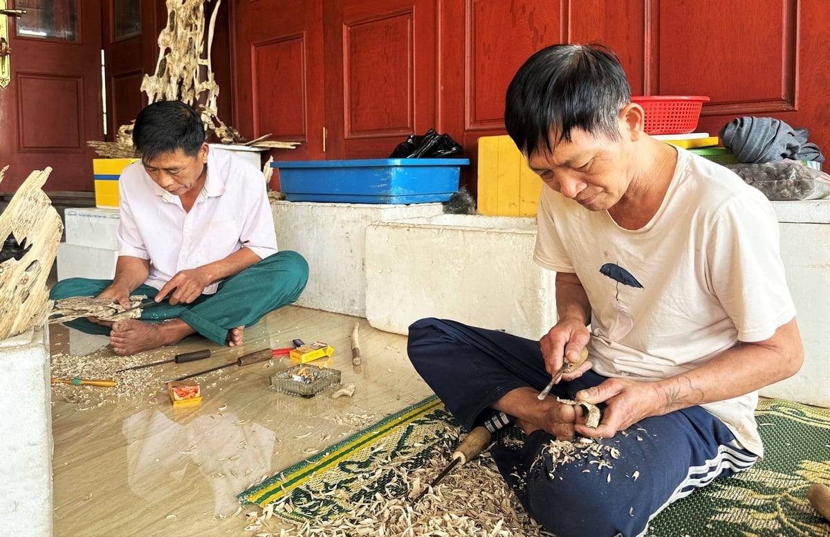 Every year, agarwood production brings nearly VND 100 billion of economic value to the people of Huong Khe. Photo: Thanh Nga.