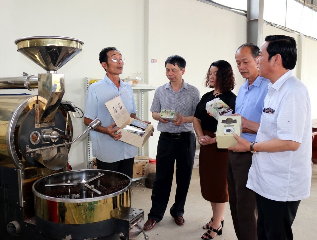 In 2022, the coffee from Bich Thao Coffee Cooperative was certified as a 5-star OCOP product at the national level. Among them, the pure ground coffee of the cooperative was the only product from the province to make it into the Top 5-star OCOP products at the national level. Photo: Nhandan.