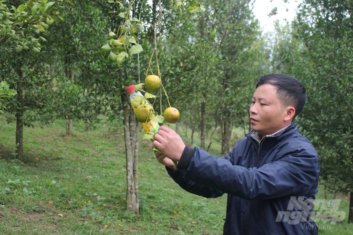 Anh Tặng Văn Sinh, bản Suối Tút, xã Quang Chiểu đã xung phong thoát nghèo. Ảnh: Thanh Tâm.  