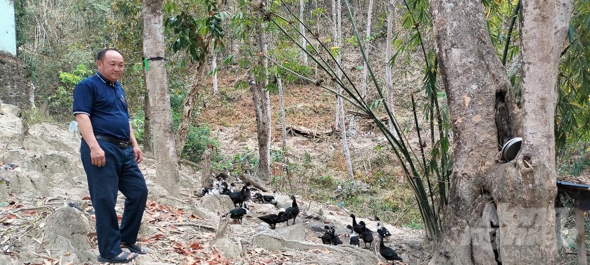 Gia đình ông Thào A Thái là hộ đầu tiên thoát nghèo ở Tà Cóm, ông viết đơn đi 50km xe máy ra xã nộp đơn. Ảnh: Thanh Tâm. 