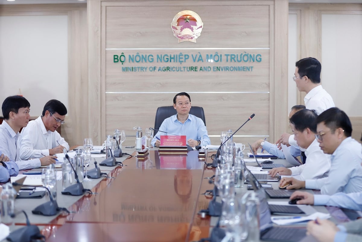  Ông Nguyễn Văn Long, Vụ trưởng Vụ Khoa học và Công nghệ báo cáo tại cuộc họp. Ảnh: Khương Trung.