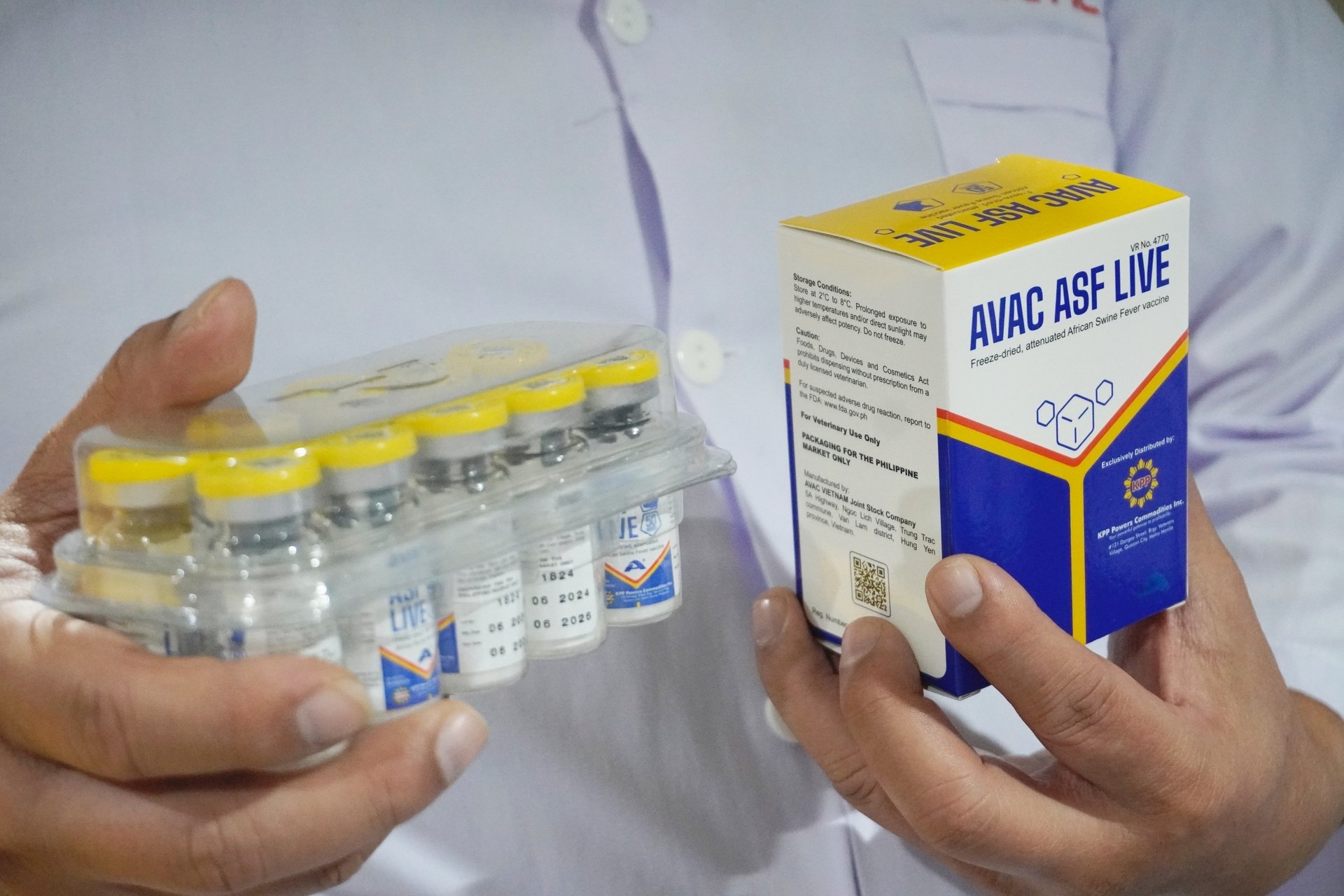 Vaccine dịch tả lợn châu Phi do Việt Nam sản xuất gần đây đã xuất khẩu sang Philippines. Ảnh: Hồng Thắm.