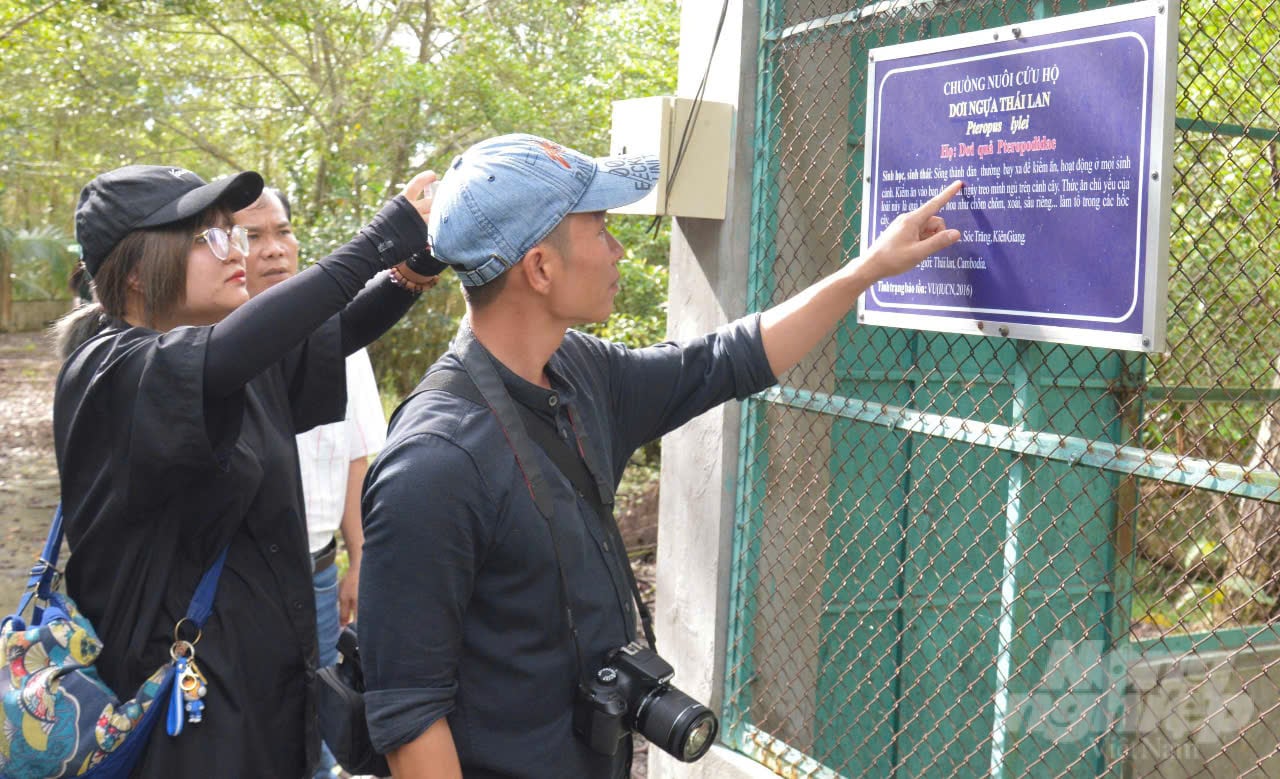 Environmental journalists learn about wildlife rescue efforts at U Minh Thuong National Park to promote wildlife conservation. Photo: Trung Chanh.