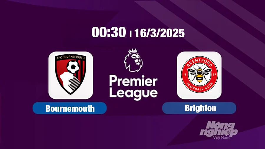 Trực tiếp bóng đá Bournemouth vs Brentford 00h30 hôm nay 16/3/2025