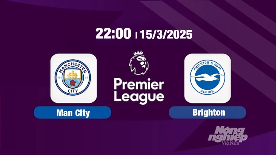 Trực tiếp bóng đá Manchester City vs Brighton 22h00 hôm nay 15/3/2025