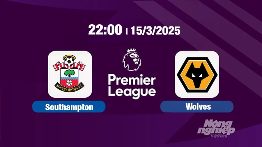 Trực tiếp bóng đá Southampton vs Wolves, Ngoại hạng Anh, 22h00 hôm nay 15/3/2025