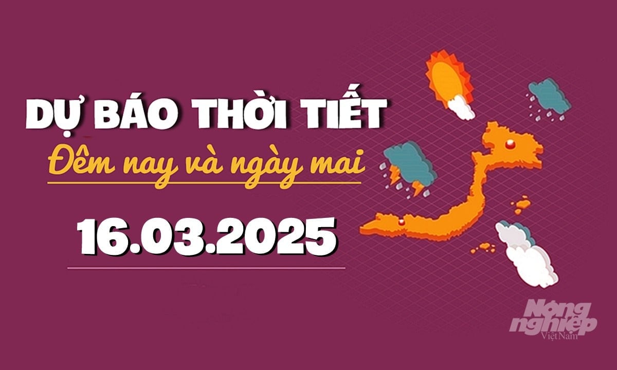 Dự báo thời tiết ngày mai 16/3/2025 tại các vùng trong cả nước