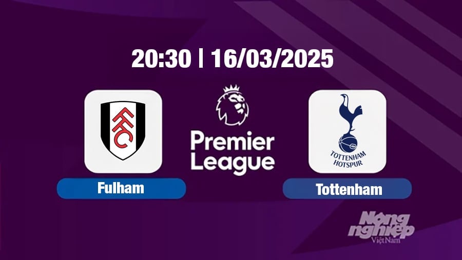 Trực tiếp bóng đá Fulham vs Tottenham, Ngoại hạng Anh, 20h30 hôm nay 16/3/2025