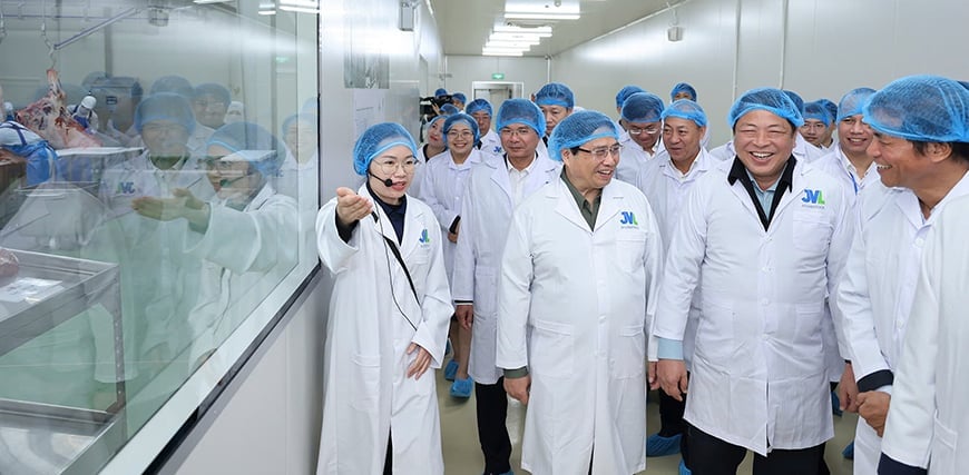 Prime Minister Pham Minh Chinh visited the Vinabeef Tam Dao Beef Breeding and Processing Complex and evaluated the project. Photo: VP.