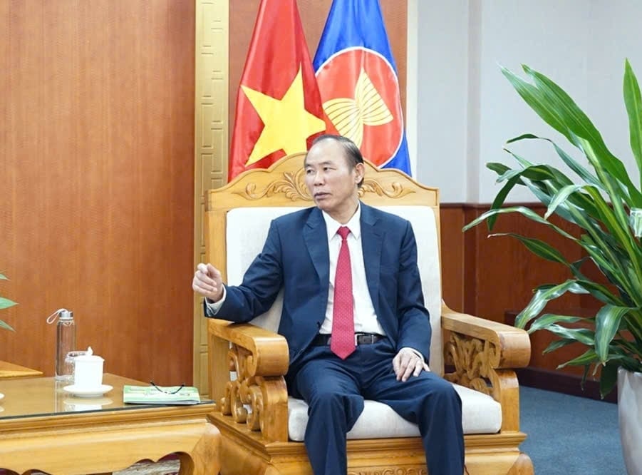 Deputy Minister Phung Duc Tien said that good input materials for large-scale livestock development are important factors, focusing on export is an important direction.