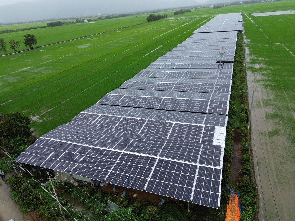 A farm combined with the agrivoltaics model in Tri Ton district (An Giang province). Photo: KA.