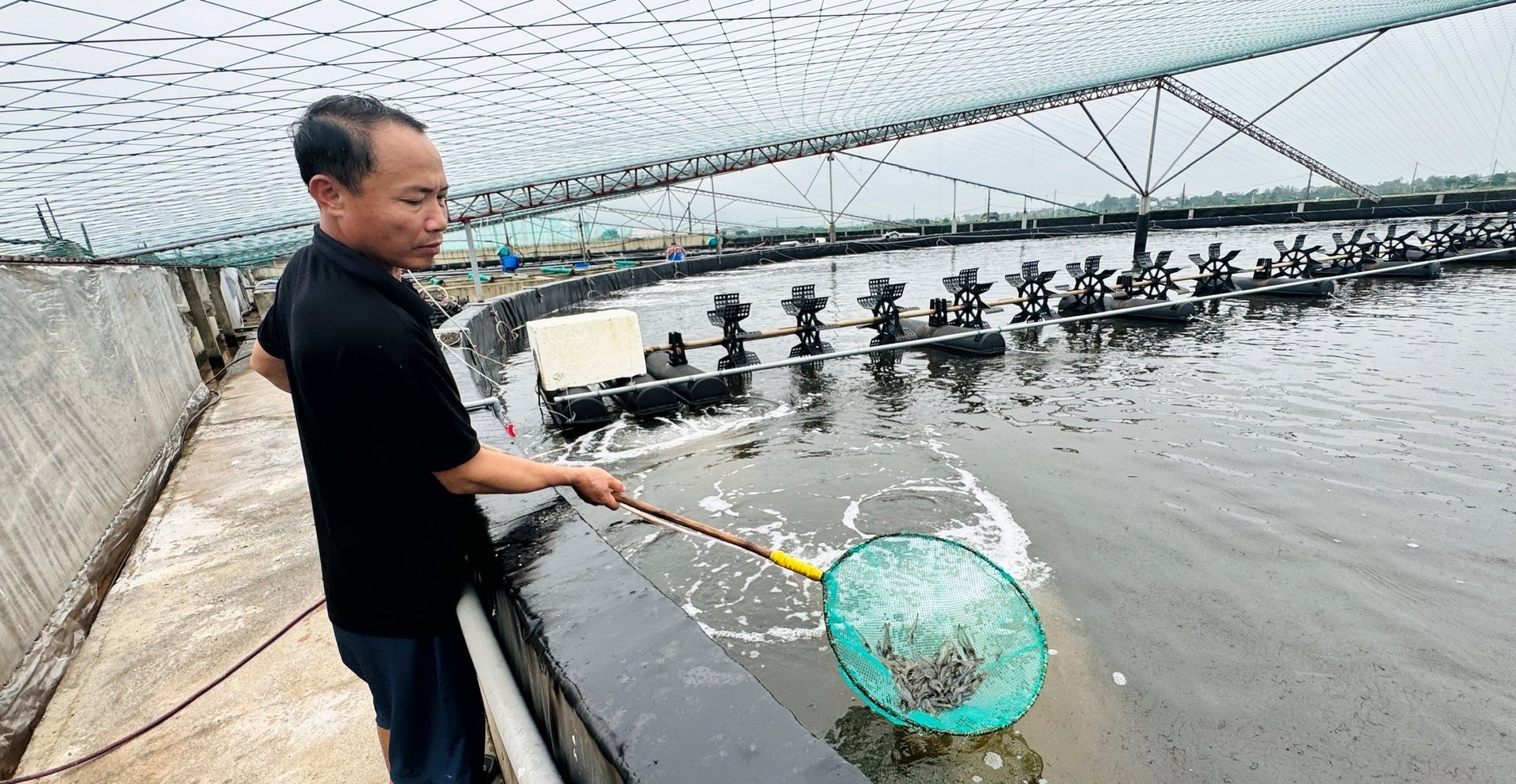 Nhiều cơ sở nuôi thủy sản tại Hà Tĩnh đầu tư hệ thống ao nuôi công nghệ cao để quản lý giảm thiểu dịch bệnh, nâng cao năng suất. Ảnh: Ánh Nguyệt.