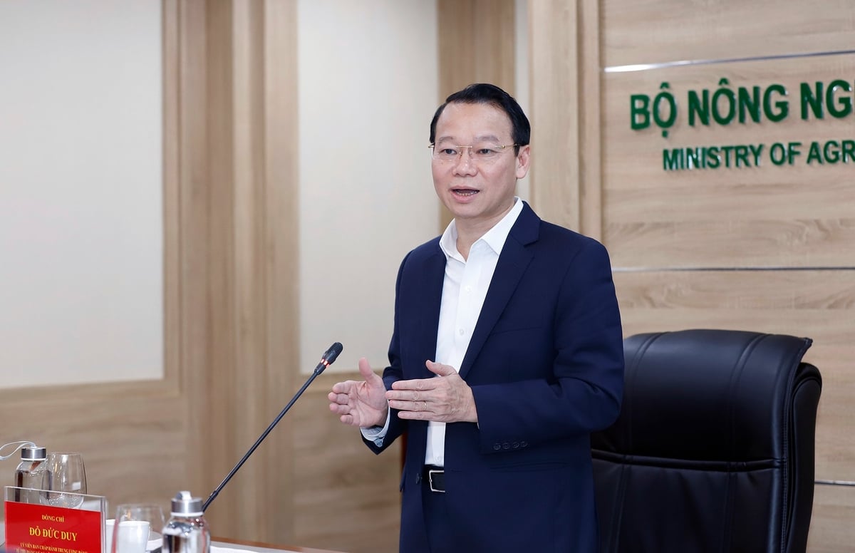 Minister Do Duc Duy chaired the meeting to finalize the Plan for Prevention and Control of Land Subsidence, Erosion, Flooding, Drought, and Saltwater Intrusion in the Mekong Delta. Photo: Khuong Trung.