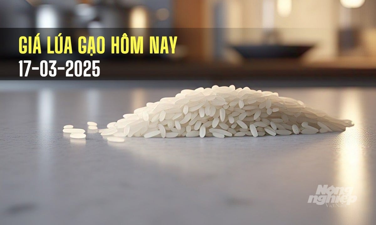 Cập nhật giá lúa gạo mới nhất hôm nay 17/3/2025