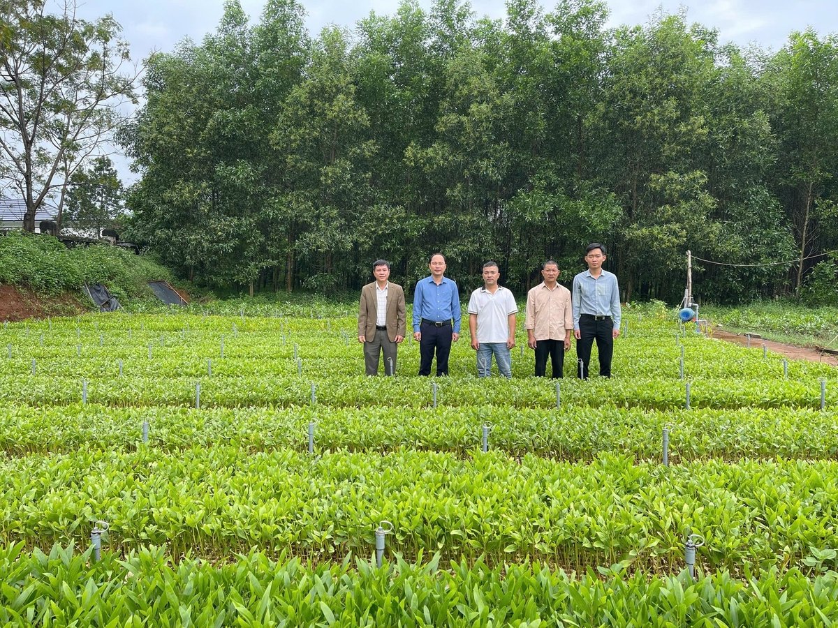 Lãnh đạo Sở Nông nghiệp và Môi trường Quảng Trị kiểm tra vườn ươm thuộc dự án. Ảnh: Việt Toàn.