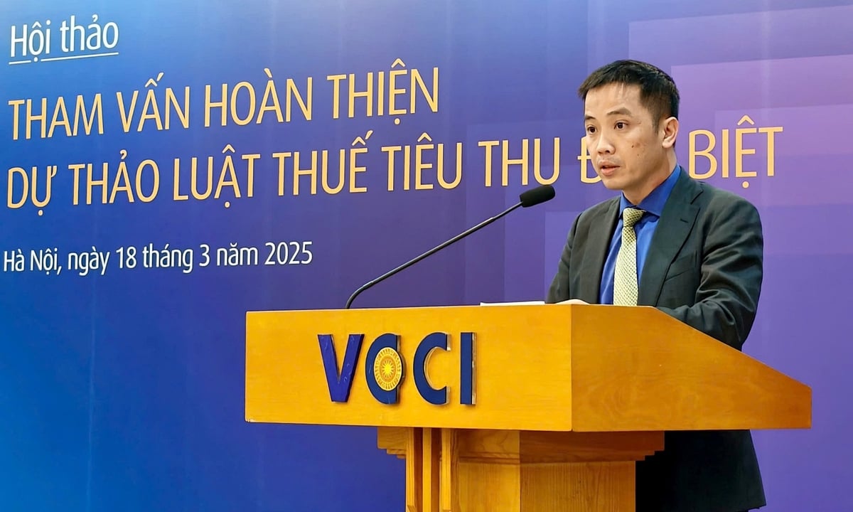 Ông Đậu Anh Tuấn, Phó Tổng thư ký kiêm Trưởng ban Pháp chế VCCI phát biểu tại hội thảo. Ảnh: Bảo Thắng.