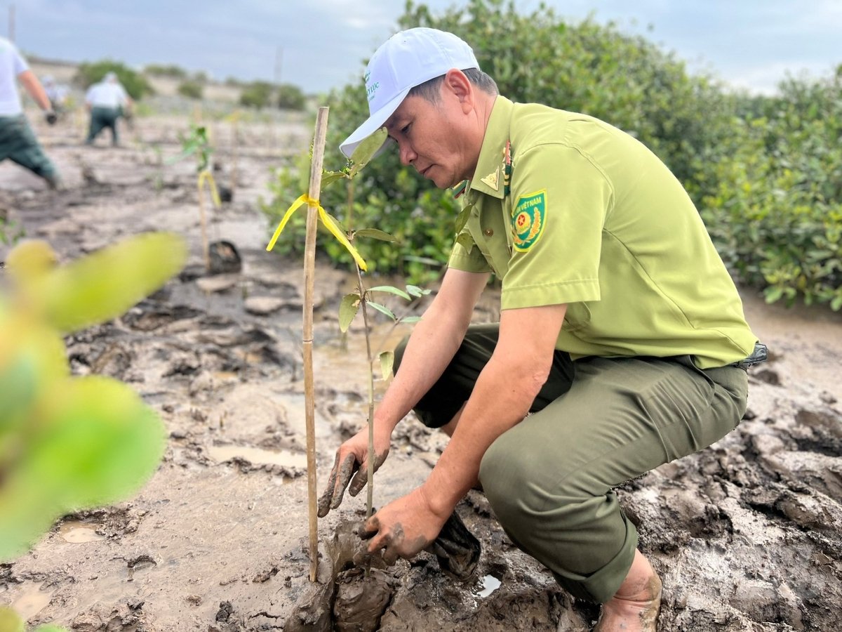 Mr. Nguyen Tan Nam, Head of the Vinh Chau Town Forest Protection Department (Soc Trang), accompanies the program. Photo: Trong Linh.