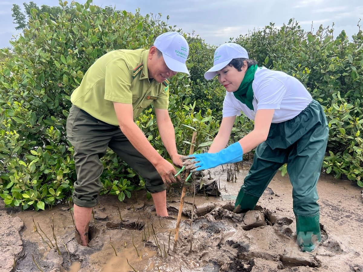 Ms. Ly Thi Hong Diep, Deputy Editor-in-Chief of the Vietnam Agriculture and Nature Newspaper, and Mr. Nguyen Tan Nam, Head of the Vinh Chau Town Forest Protection Department (Soc Trang), planted trees in the coastal alluvial area of Lai Hoa Commune. Photo: Trong Linh.