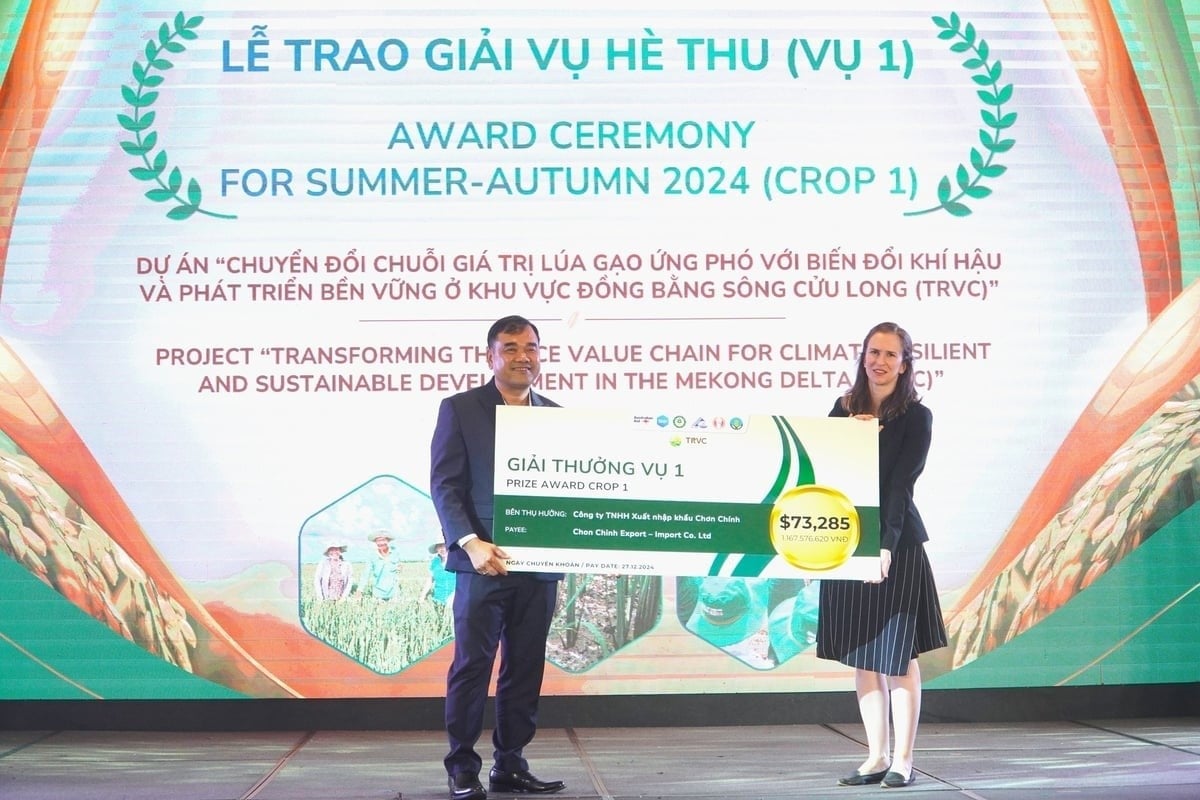 Chon Chinh Import Export Co., Ltd. (Dong Thap province) is the unit that receives the highest bonus, nearly VND 1.2 billion. The enterprise has shared 52% of the bonus for farmers, cooperatives, and cooperative groups participating in the linkage. Photo: Kim Anh.