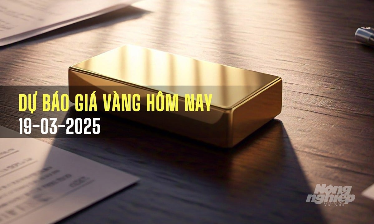 Giá vàng 9999 24k 18K DOJI PNJ SJC BTMC hôm nay 19/3 dự báo tăng hay giảm?